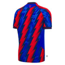 CRYSTAL PALACE THIRD 26/27